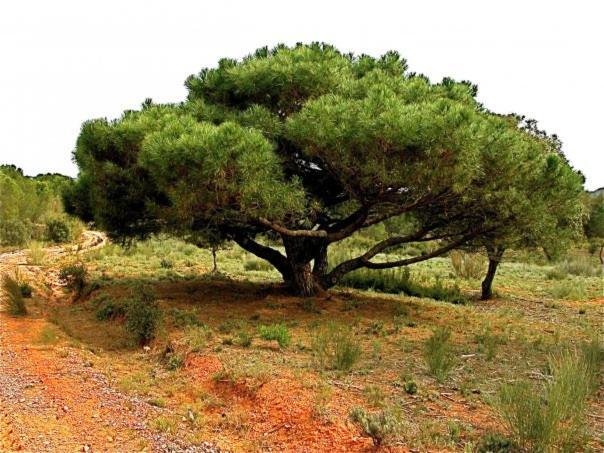 Country house Parajes Del Jucar *